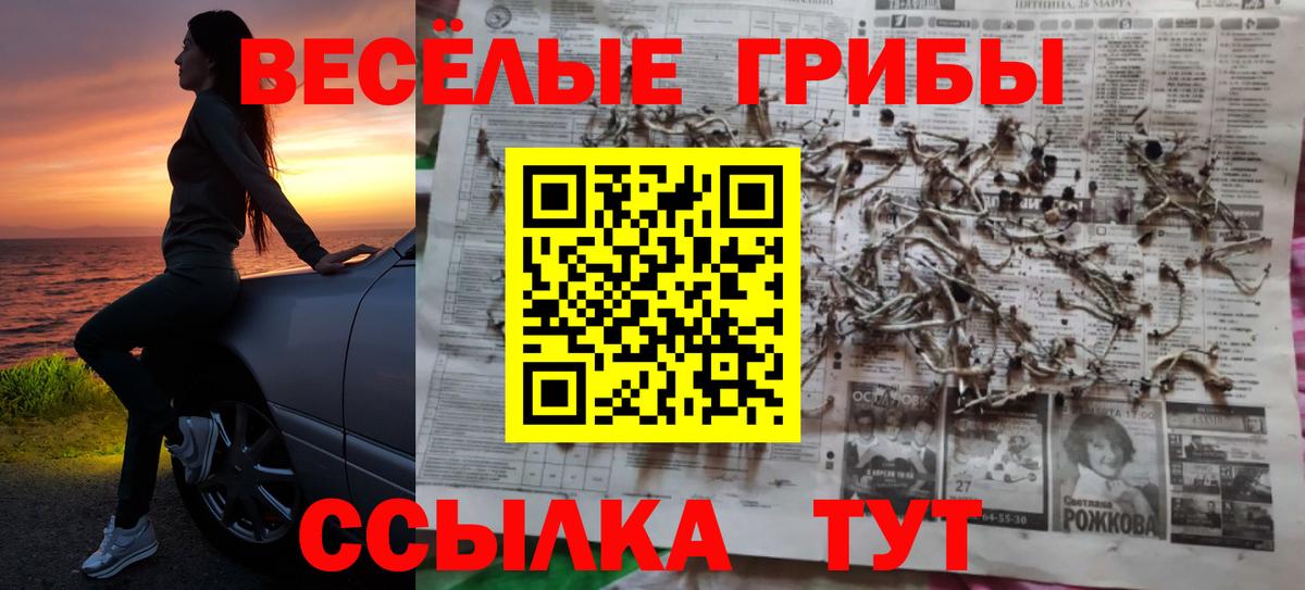 Псилоцибиновые грибы ЛСД Краснодар